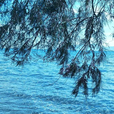 Villa Opensea